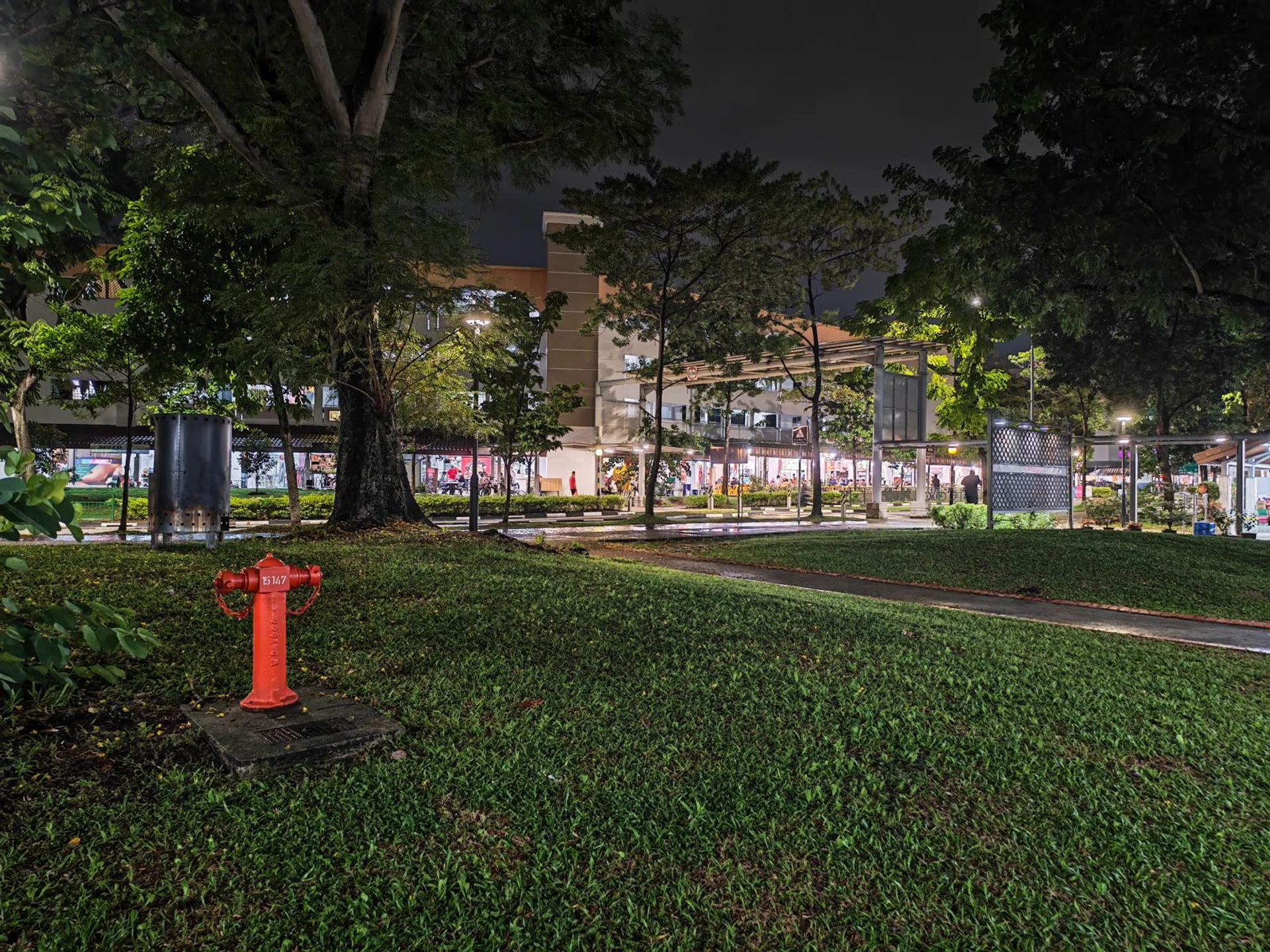 Night mode in a street park — low-noise shadows and solid highlight control from the main sensor.